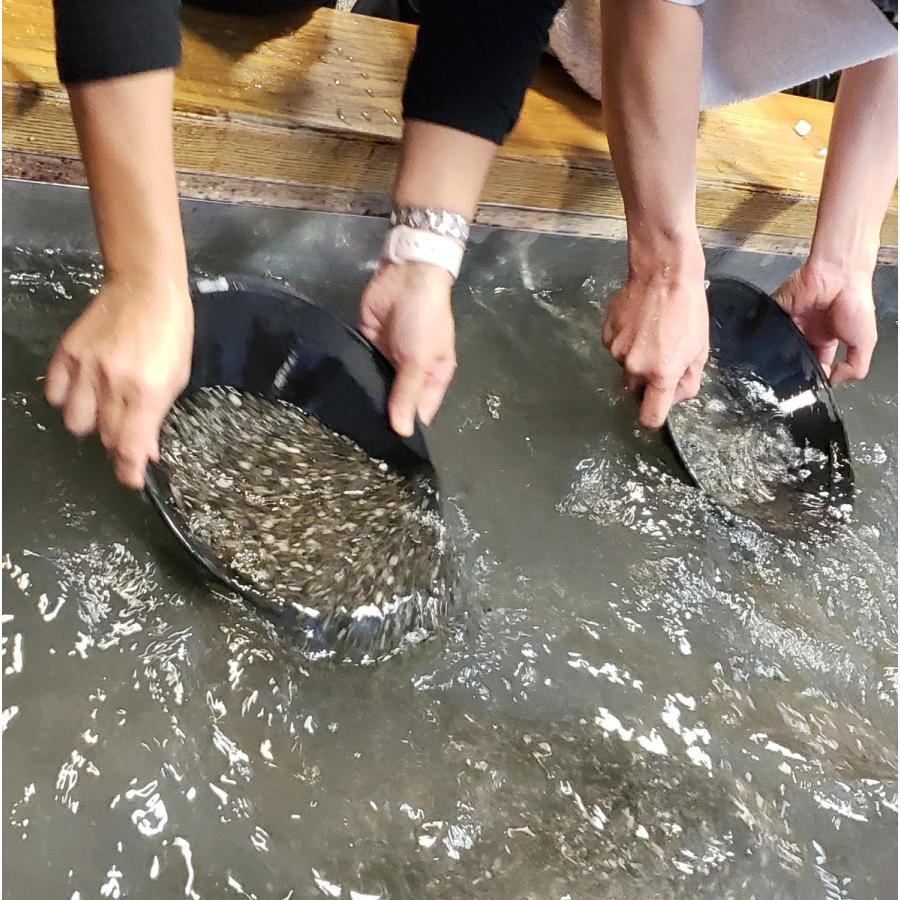 パンニング皿 砂金採りはじめてセットお子様用 ver.4 : 砂金