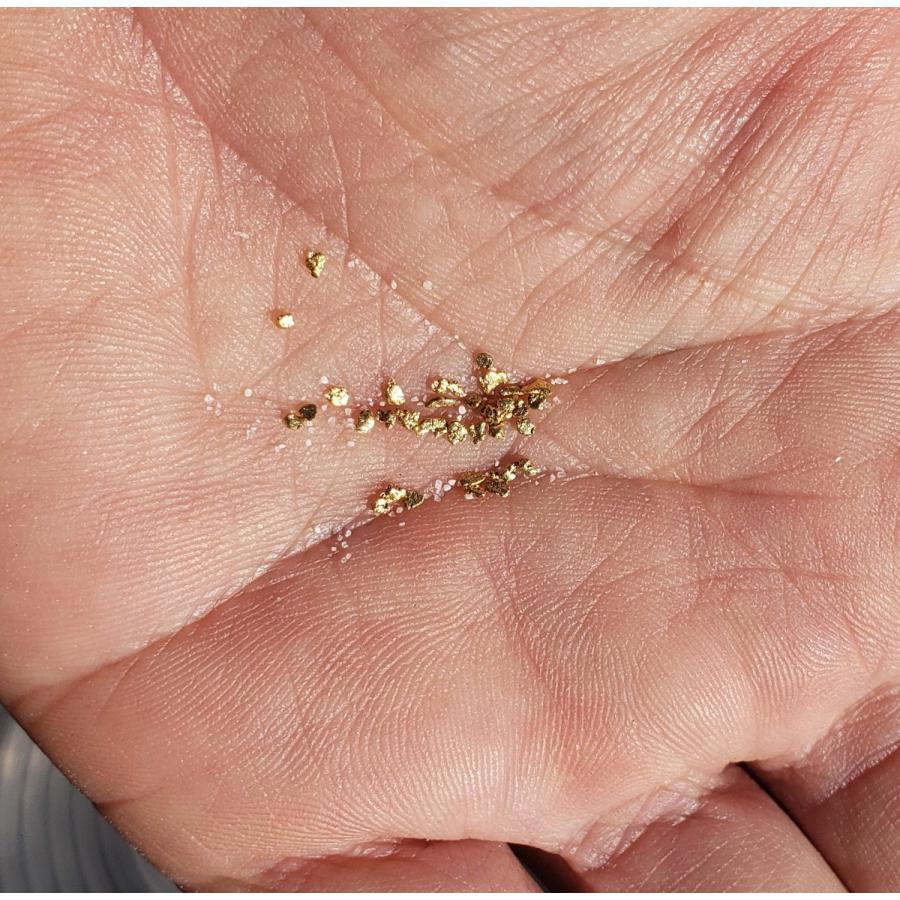 パンニング皿 砂金採りはじめてセットお子様用 ver.3 : 砂金