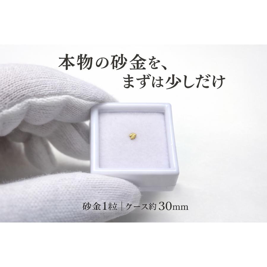 初めてでも安心】観賞用 天然砂金 少量体験セット 自由研究