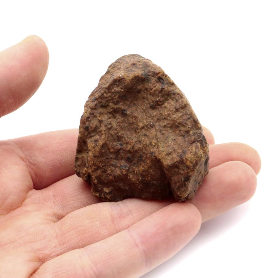 コンドライト隕石モロッコ産石質隕石 GOLD STONE コンドライト隕石 NWA モロッコ産 原石 90g 1点もの