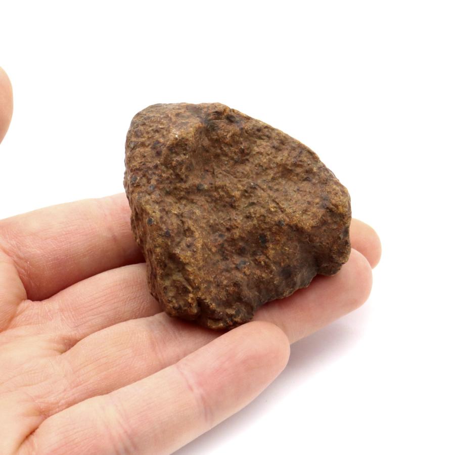 GOLD STONE コンドライト隕石 NWA モロッコ産 原石 90g 1点もの