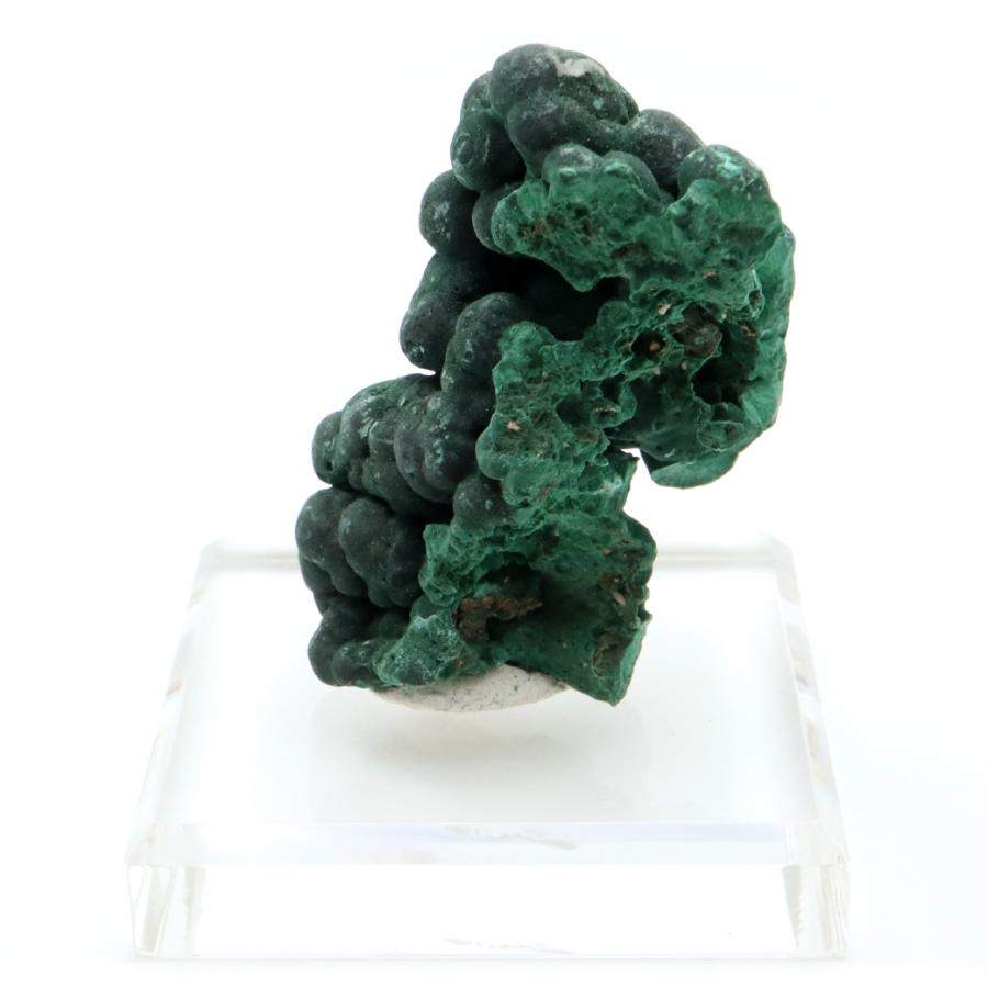 GOLD STONE マラカイト 原石 約71g 台座付き コンゴ・カタンガ州