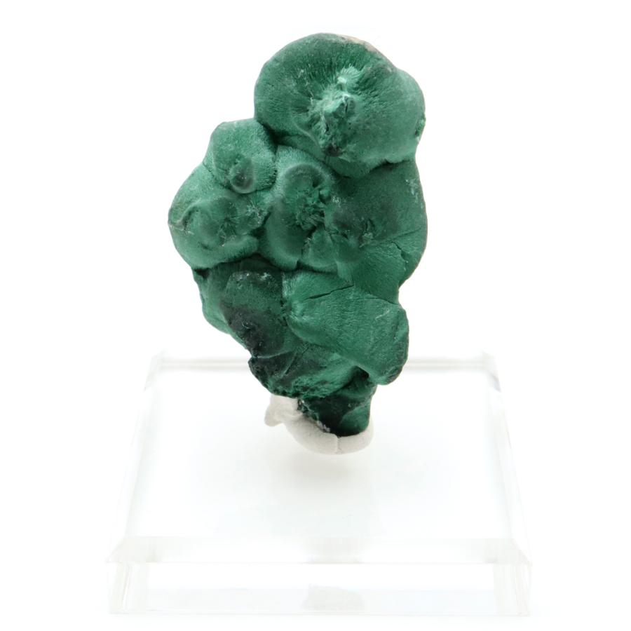 GOLD STONE マラカイト 原石 約63g 台座付き コンゴ・カタンガ州産 
