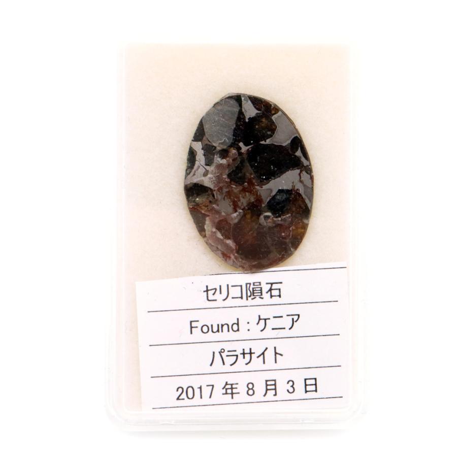 GOLD STONE パラサイト隕石 ケニア セリコ産 重量1.8g 隕石標本 