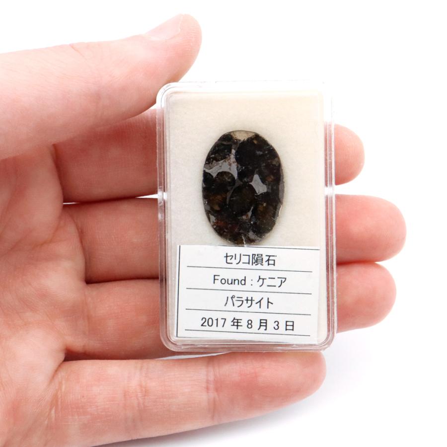 ◆パラサイト隕石◆セリコ隕石◆ケニア産◆ルース◆石鉄隕石◆#ha◆ GOLD STONE パラサイト隕石 ケニア セリコ産 重量1.3g 隕石標本