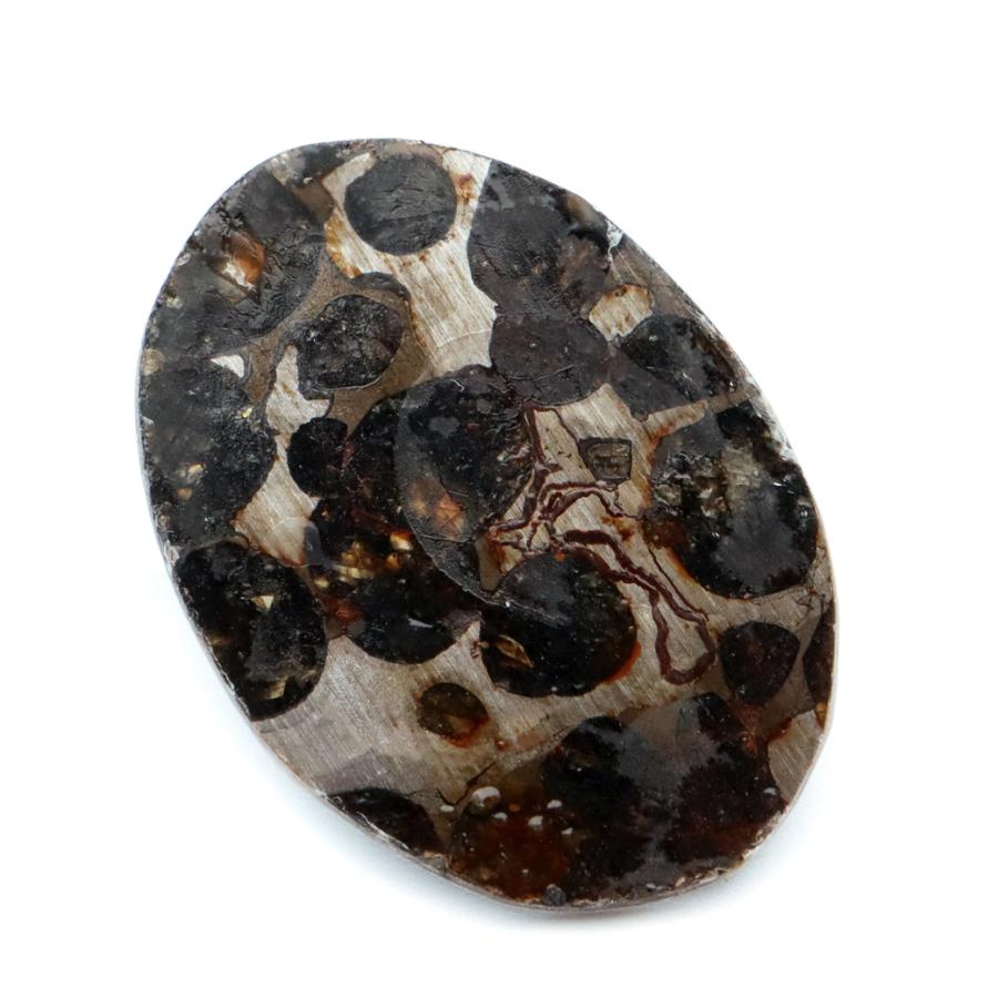 GOLD STONE パラサイト隕石 ケニア セリコ産 重量1.9g 隕石標本