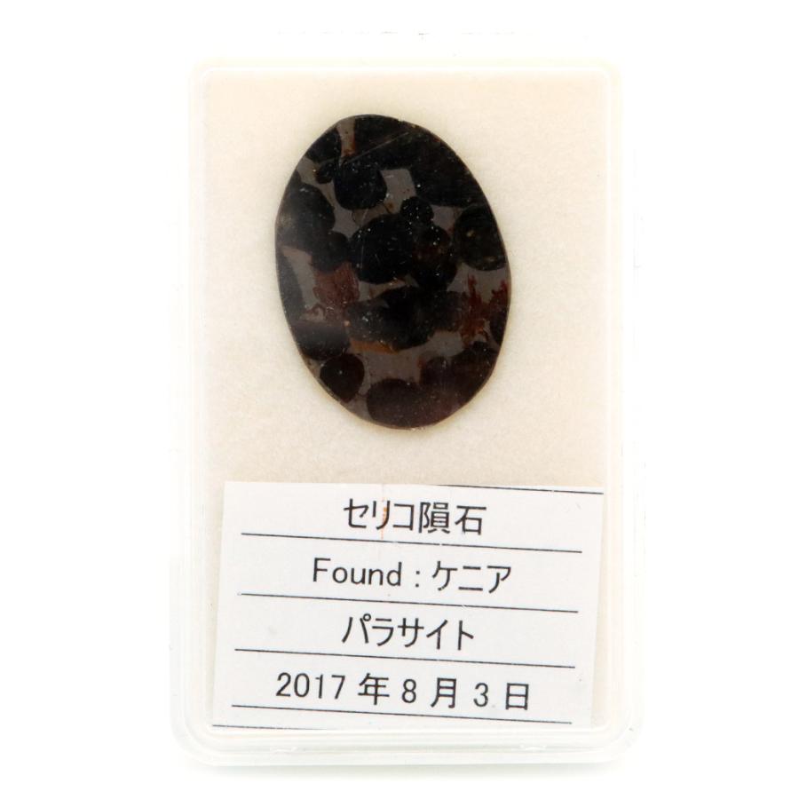 GOLD STONE パラサイト隕石 ケニア セリコ産 重量1.9g 隕石標本