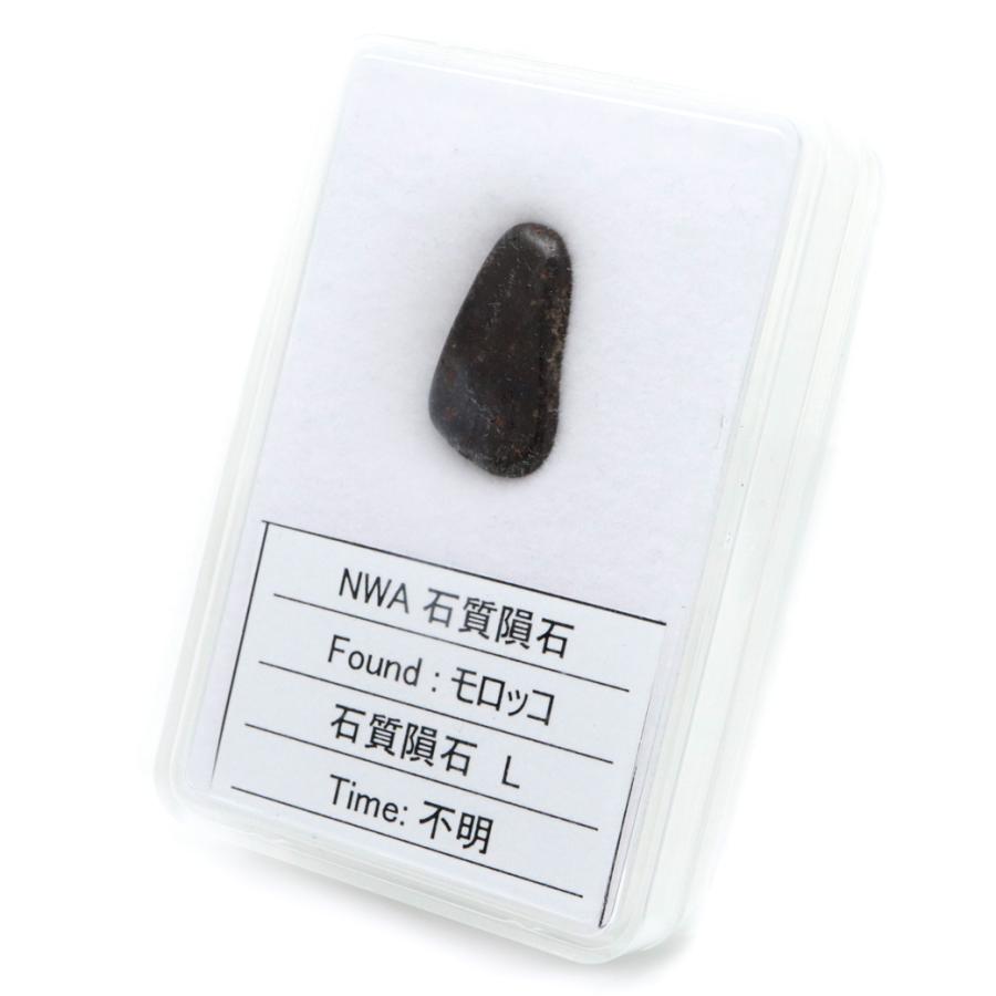 NWA石質隕石 モロッコ産 1.3g 石質隕石H Stony meteorite 1点物 