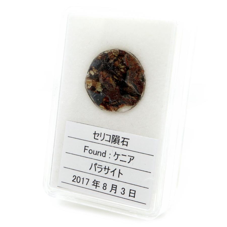パラサイト隕石 ケニア セリコ産 重量1.0g 隕石標本 パラサイト隕石 ケニア セリコ産 重量1.0g 隕石標本