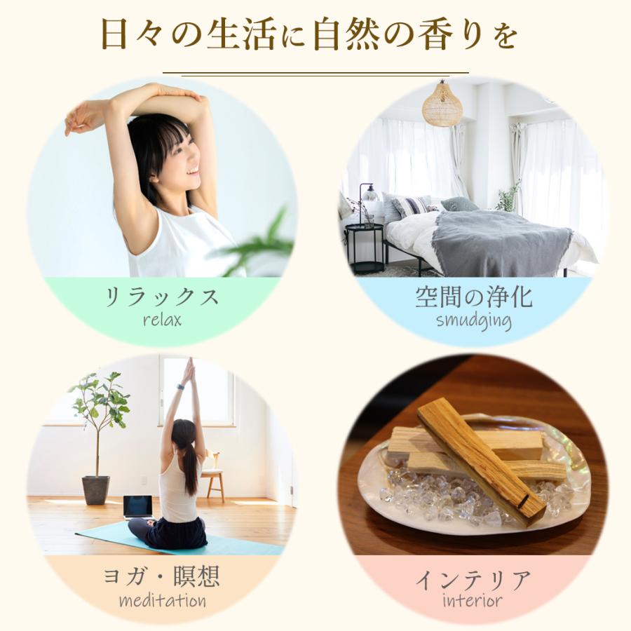 GOLD STONE パロサント 香木 スティック 選別済み 50g パールシェル