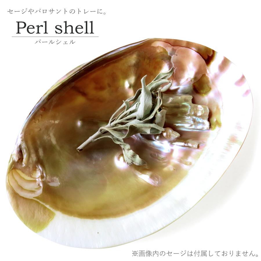 パールシェル ホワイトセージの浄化皿 貝殻 小物入れ パールシェル ホワイトセージの浄化皿 貝殻 小物入れ