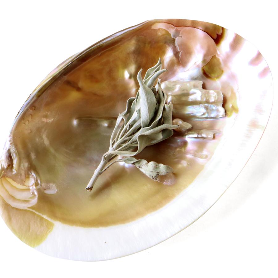 パールシェル ホワイトセージの浄化皿 貝殻 小物入れ オーストラリア産 イケチョウ貝 送料無料｜goldstone｜06