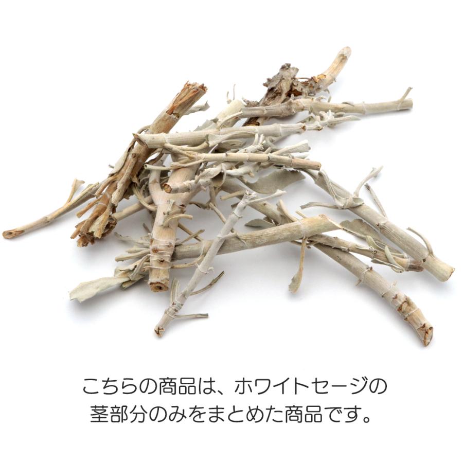 ホワイトセージ 枝のみ バー 茎のみ 詰め合わせ 100g 無農薬 高品質 セージ お香 浄化 セージの葉 セイジ ハーブ カルフォルニア産 white sage｜goldstone｜03