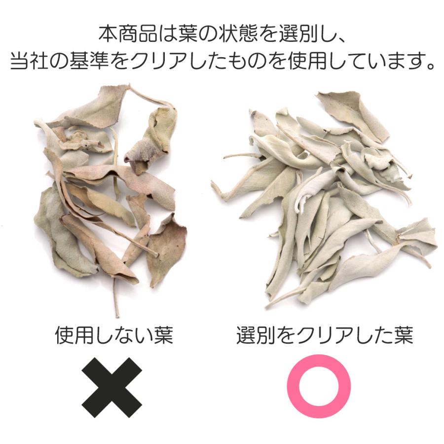 ホワイトセージ 枝無し 選別済み 無農薬 高品質 セージ お香 ホワイトセージ 枝無し 選別済み 無農薬 高品質 セージ お香