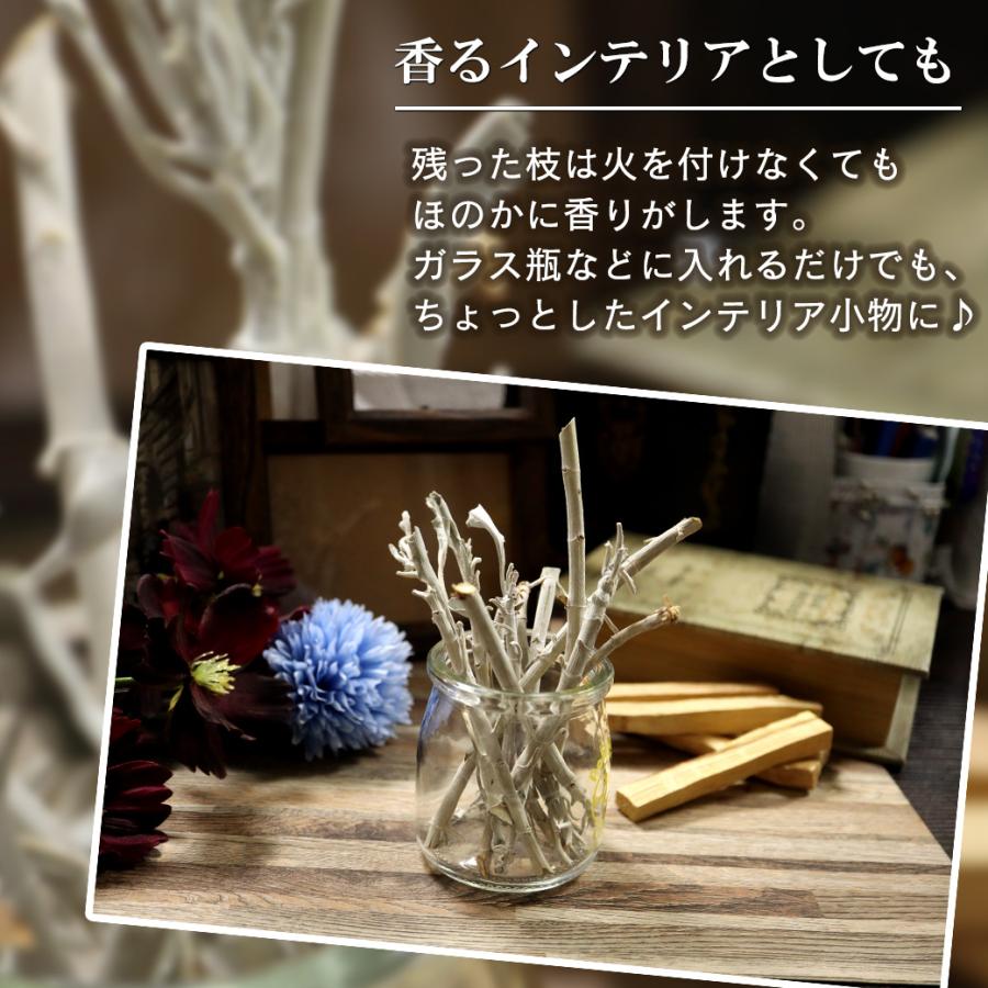女性が喜ぶ♪女性が喜ぶ♪ホワイトセージ 枝付き クラスター 無選別 50g 無農薬 高品質 カルフォルニア産 White Sage お香 ホワイトセージ 浄化用 お香 南カルフォルニア州産 天然ホワイトセージ クラスター、リーフ、クラッシュmix 定型外郵便 クリックポスト レターパックプラス 宅配便 送料無料