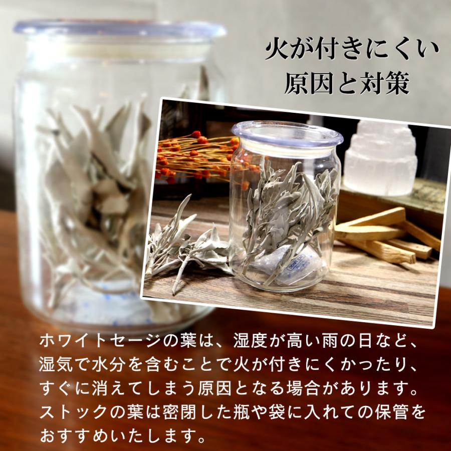 ホワイトセージ 枝付き クラスター 無選別 50g 無農薬 高品質 ホワイトセージ 枝付き クラスター 無選別 50g 無農薬 高品質