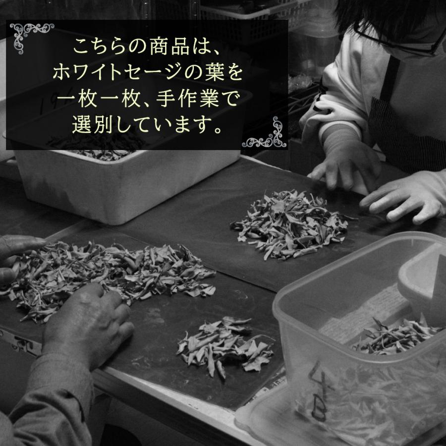 GOLD STONE ホワイトセージ 枝付き 選別済み 無農薬 オーガニック 高