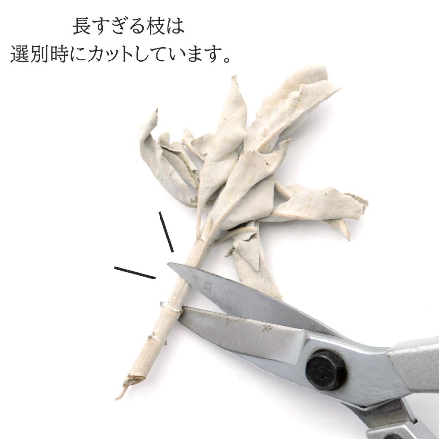 GOLD STONE ホワイトセージ 枝付き 選別済み 無農薬 オーガニック 高