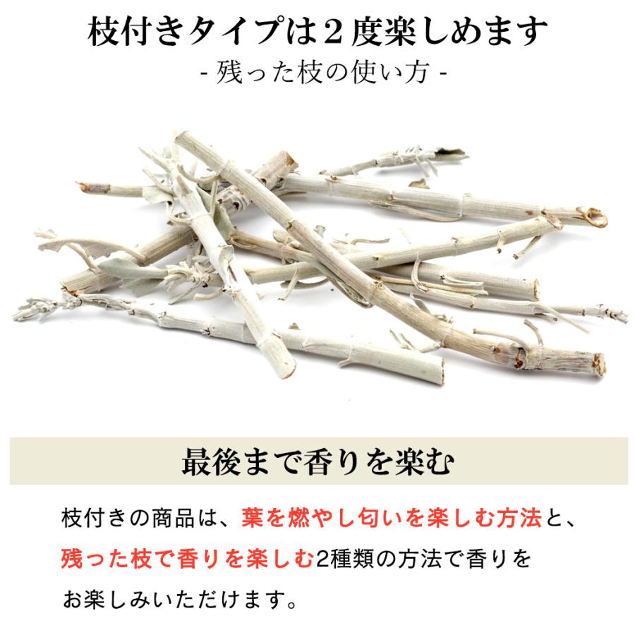 GOLD STONE ホワイトセージ 枝付き 選別済み 無農薬 オーガニック 高