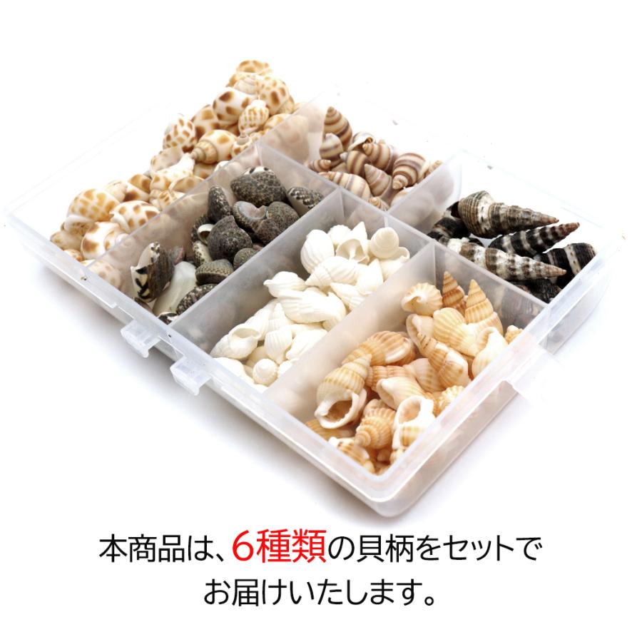 GOLD STONE 貝殻 パーツ 6種類 約150個前後 MIX シェル 材料 おうち