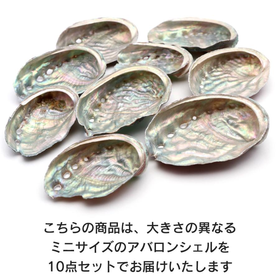 GOLD STONE 貝殻 パーツ レジン アバロンシェル 10個 サイズMix 4-6cm