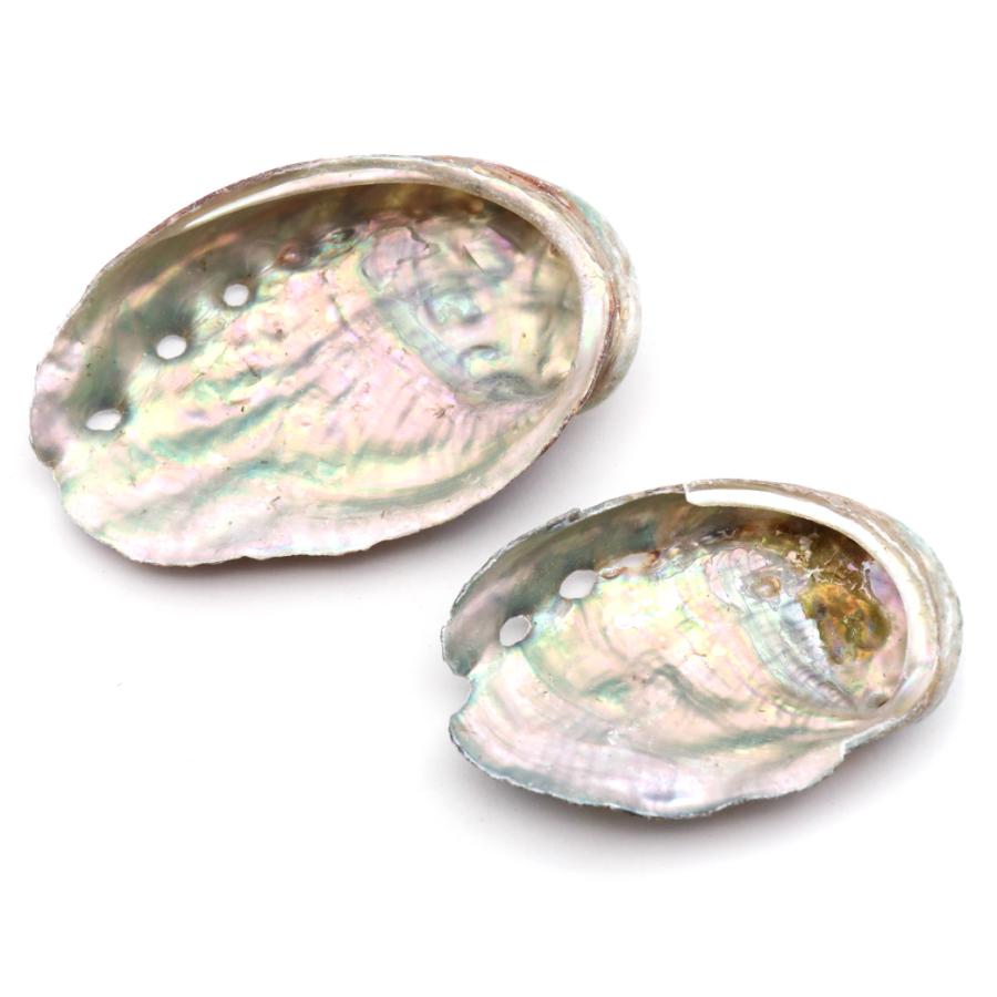 GOLD STONE 貝殻 パーツ レジン アバロンシェル 10個 サイズMix