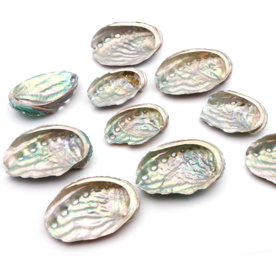 GOLD STONE 貝殻 パーツ レジン アバロンシェル 10個 サイズMix 4-6cm