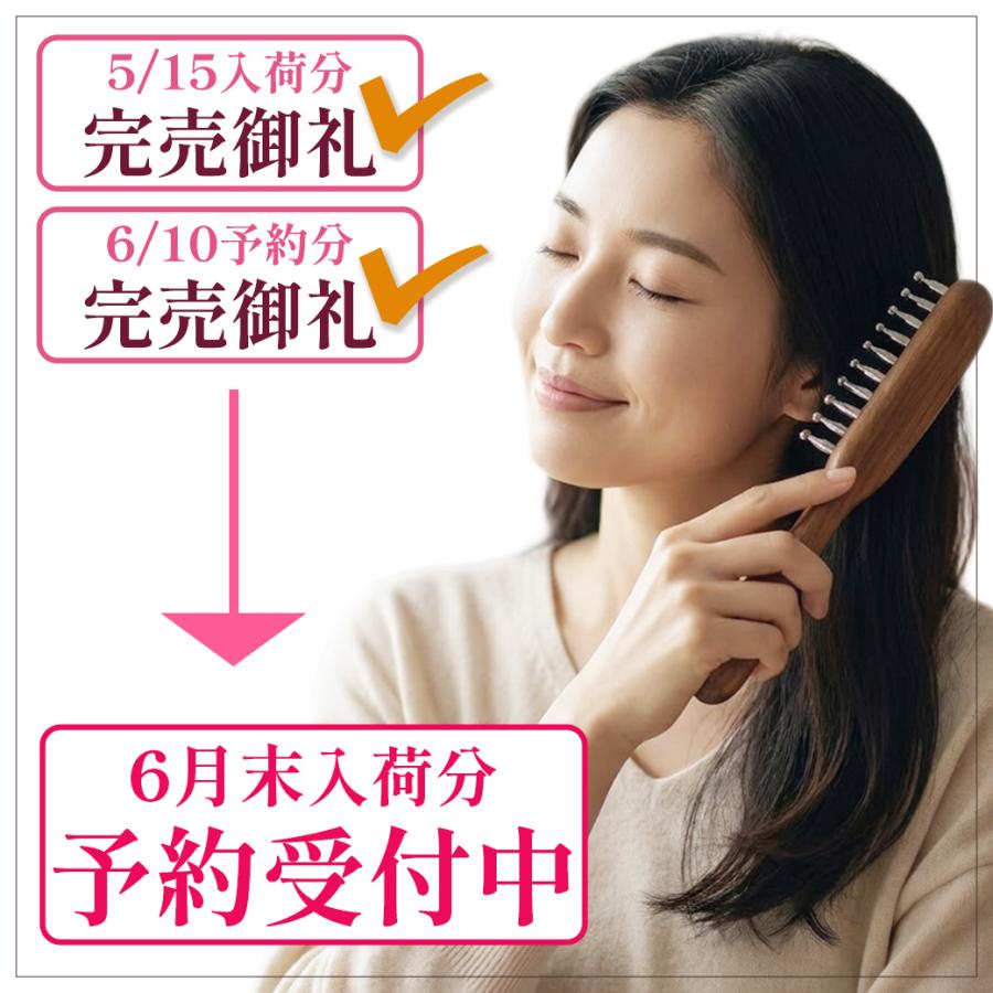 GOLD STONE テラヘルツ 頭皮 マッサージ用 ブラシ くし型 気持ちいい