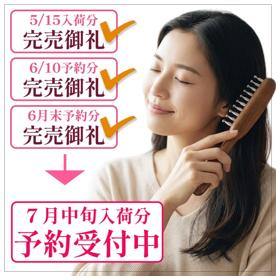 GOLD STONE テラヘルツ 頭皮 マッサージ用 ブラシ くし型 気持ちいい