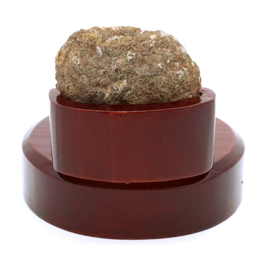 GOLD STONE トレジャーメノウ 台付き 1点もの 124g 瑪瑙 風水 聚宝盆