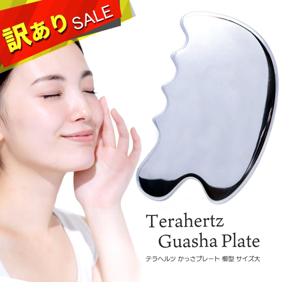 エステ EBM イービーエム テラヘルツ カッサ Amazon.co.jp: 【雑誌掲載商品】カッサ かっさプレート