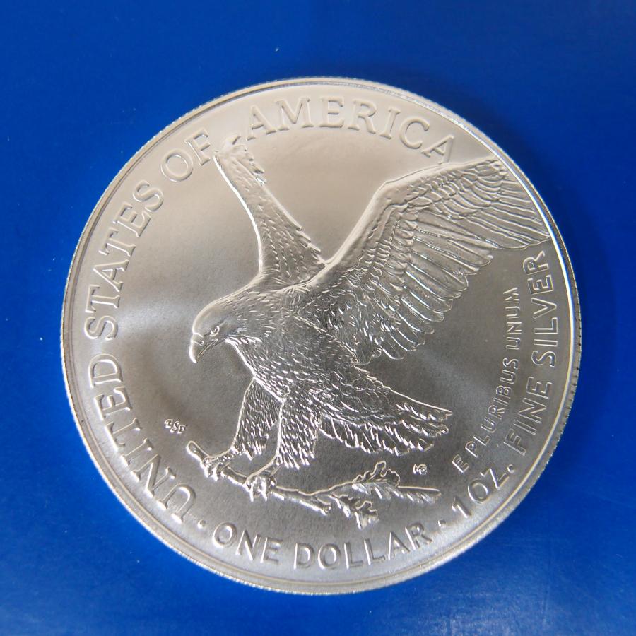 【20枚セット】イーグル銀貨1オンス タイプII 〈2024年〉 新品未使用 2401150007 Gold Tohki 通販