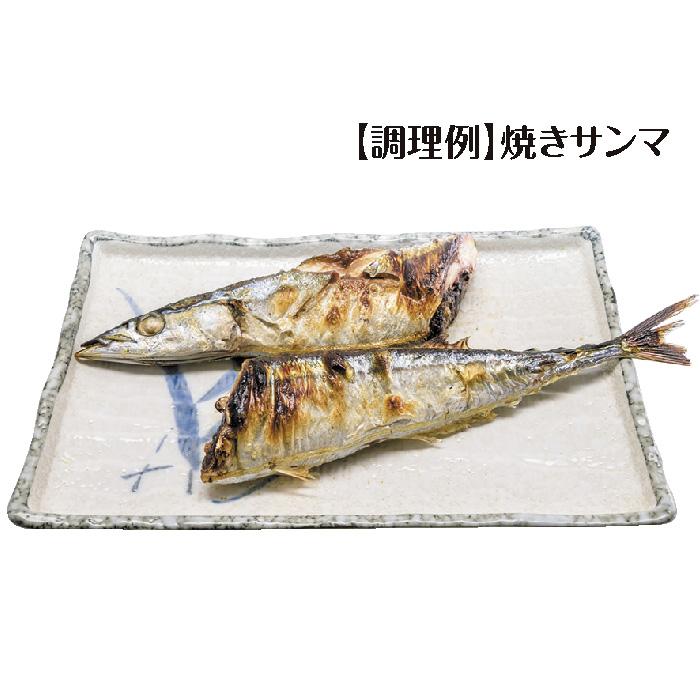 TO-PLAN レンジで焼ケール 丸型 電子レンジ専用調理器 焼き魚 肉 TO-PLAN レンジで焼ケール 丸型 電子レンジ専用調理器 焼き魚 肉