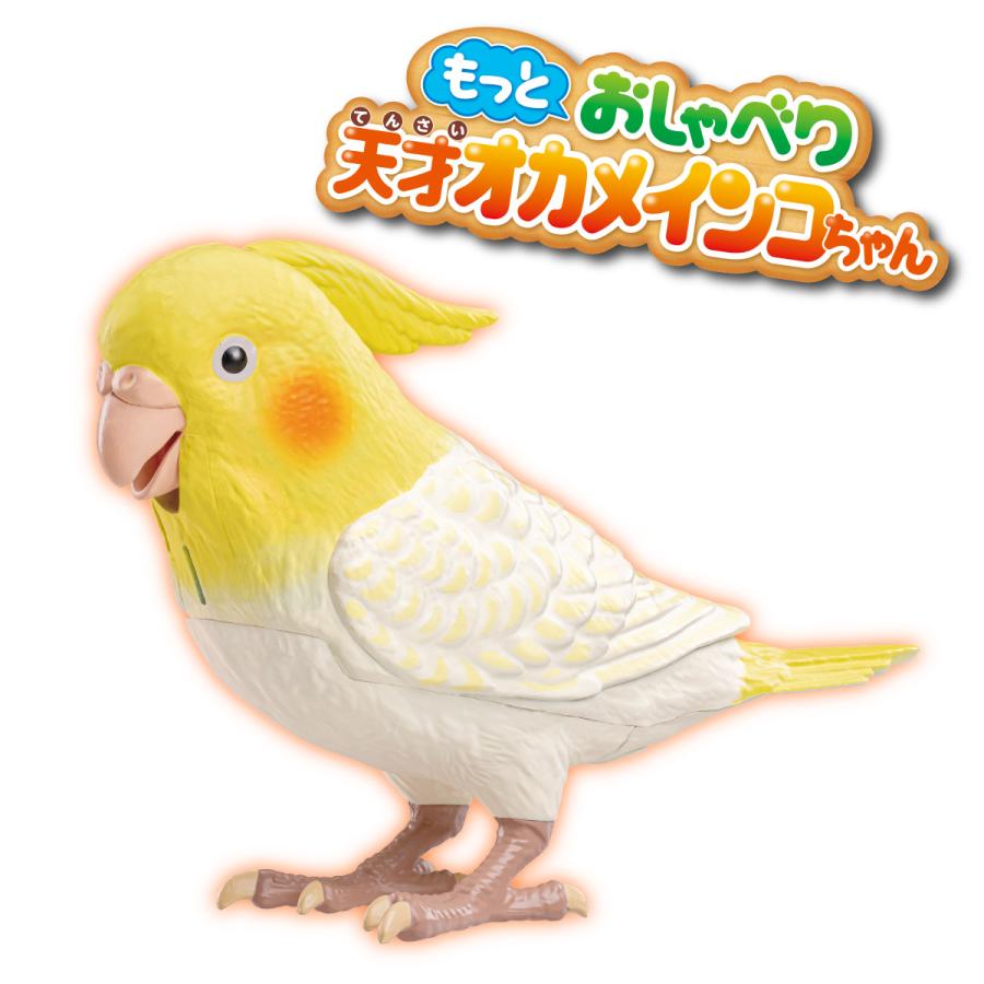 もっとおしゃべり天才オカメインコちゃん 手のり オカメインコ