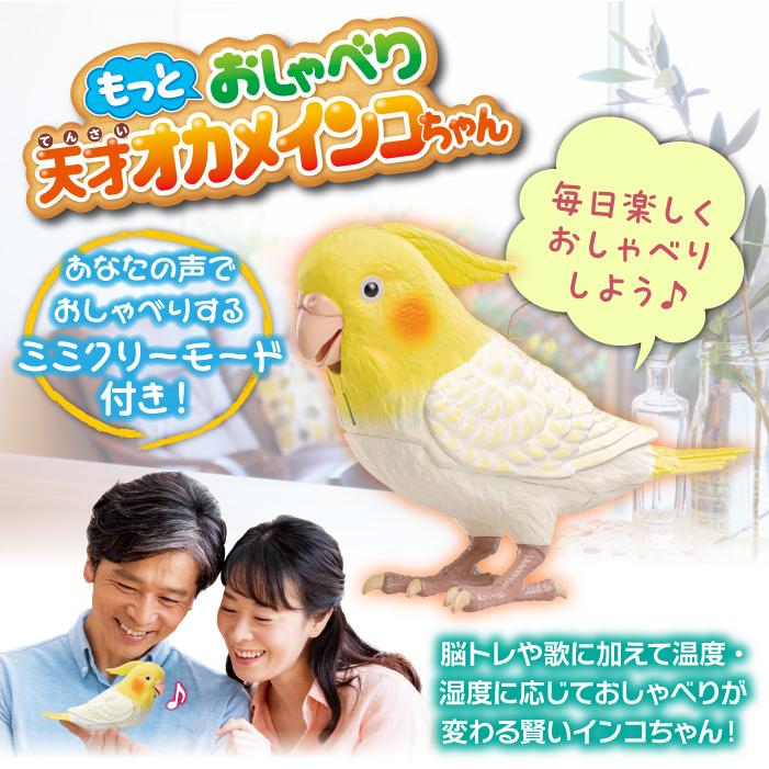 もっとおしゃべり天才オカメインコちゃん 手のり オカメインコ