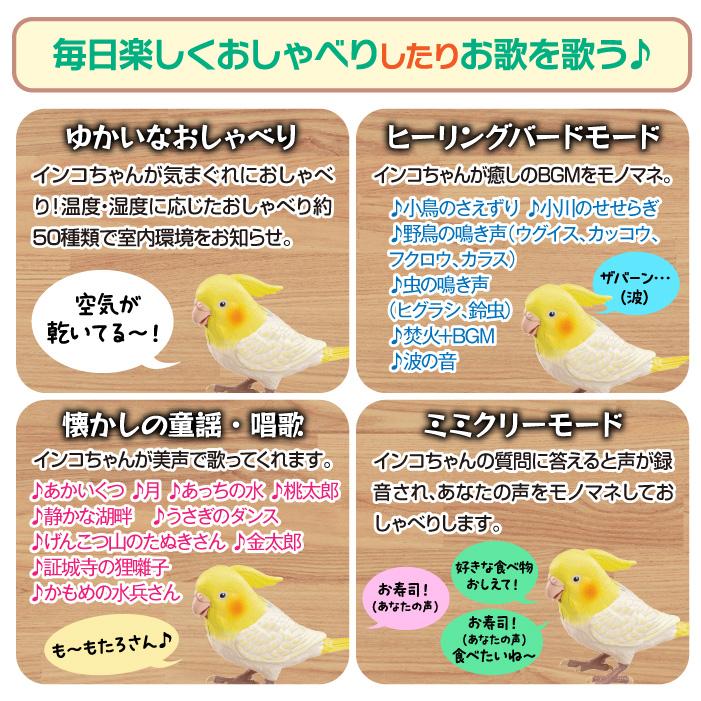 もっとおしゃべり天才オカメインコちゃん 手のり オカメインコ