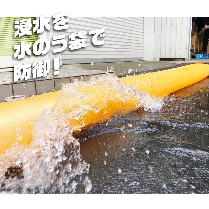 水のう袋 簡易浸水対策 イージーダム 35×365cm 水嚢 水害 防水 防災 大雨対策グッズの画像