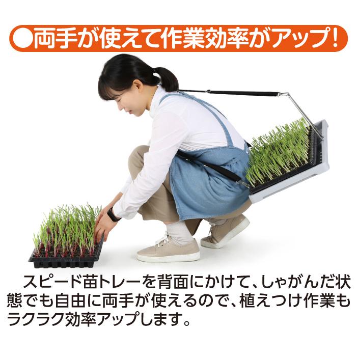 特許技術 スピード苗トレー 運搬 苗 種まきトレー 植え付け 農作業 肩