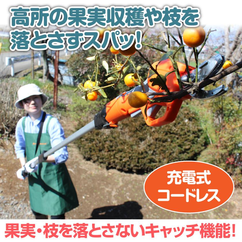 高枝切りハサミ 電動ハサミ 園芸 YARD FORCE 12V コードレス 充電式