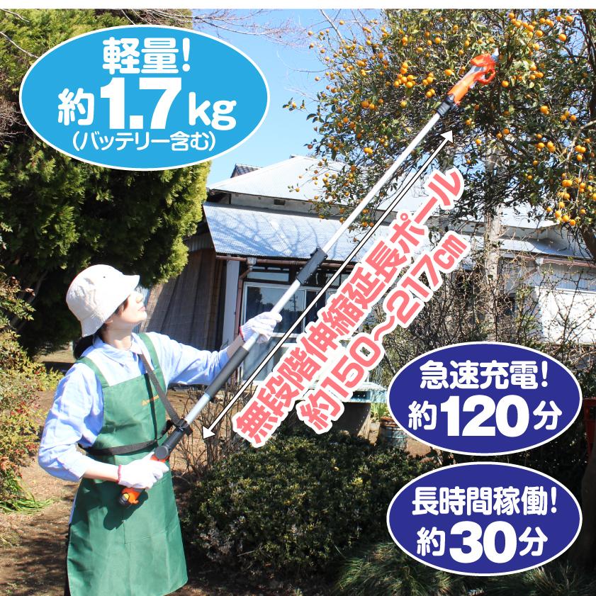 高枝切りハサミ 電動ハサミ 園芸 YARD FORCE 12V コードレス 充電式