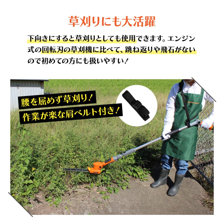 YARD FORCE（ヤードフォース） 12Vコードレス2WAYバリカン3 充電式