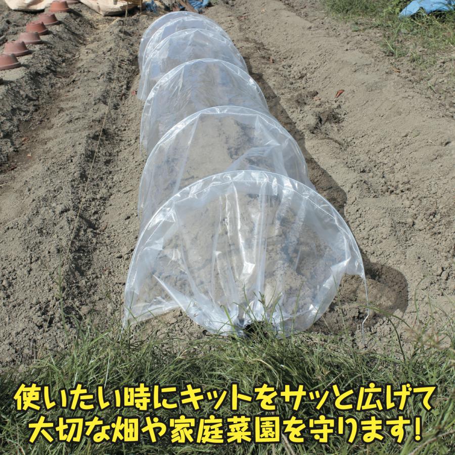 温室キット ビニールハウス 2枚組 温室 蛇腹折り 最長3m 手軽