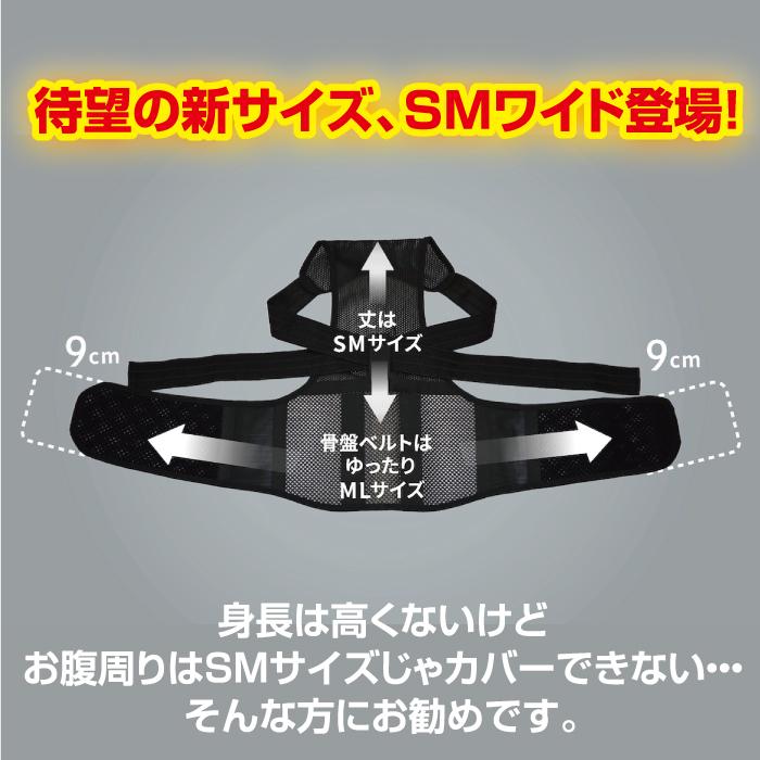 背筋矯正ベルト 薄型 骨盤 腰 猫背 姿勢 補正 背筋を伸ばす器具