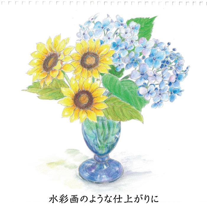 水彩 色えんぴつ 48色 水彩筆 水彩画 ぬりえ ぬり絵 Superior お絵かき