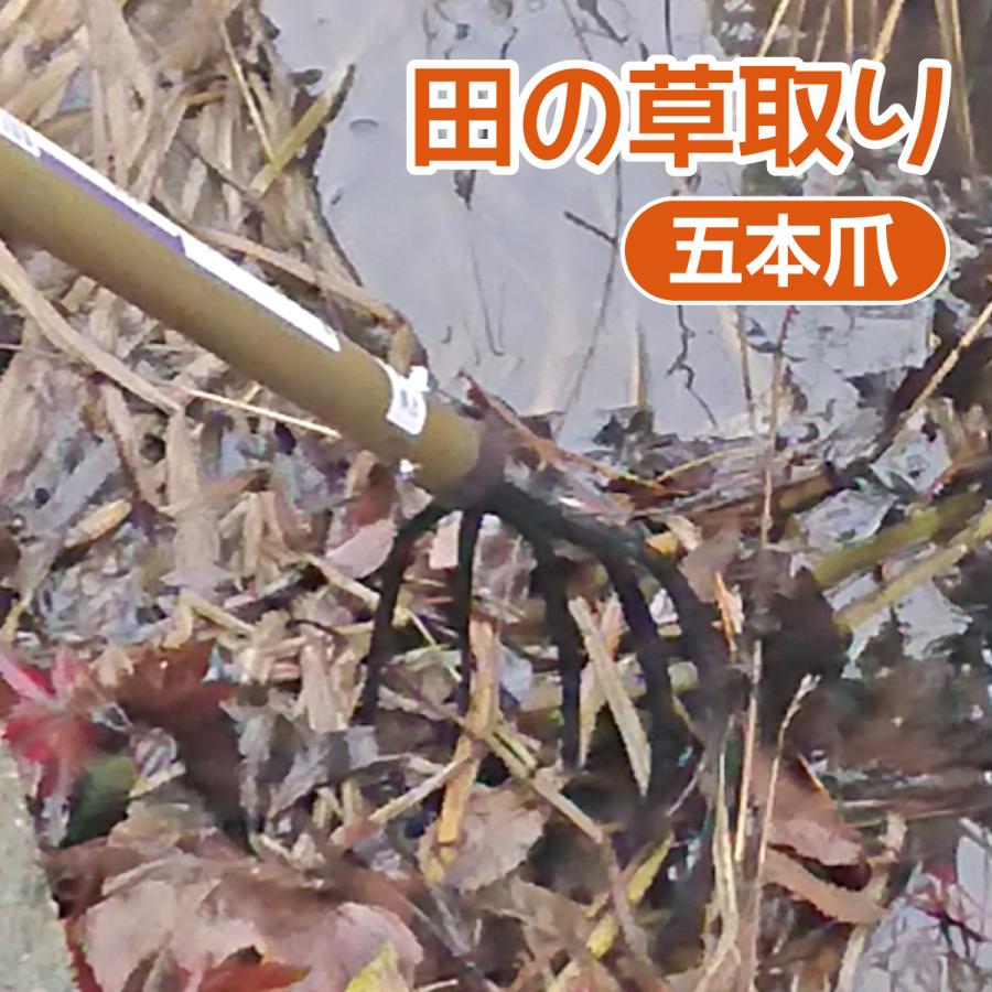 草取り 除草具 五本爪 田の草取り 全鋼製 草むしり 水田 田んぼ 農具 雑草 抜き取り 日本製 燕三条 伝統的 : 身近な優れものショップ - 通販  - Yahoo!ショッピング