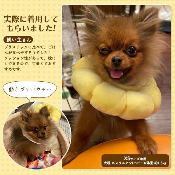 クッション型 エリザベスカラー フラワーデザインカラー ソフトタイプ
