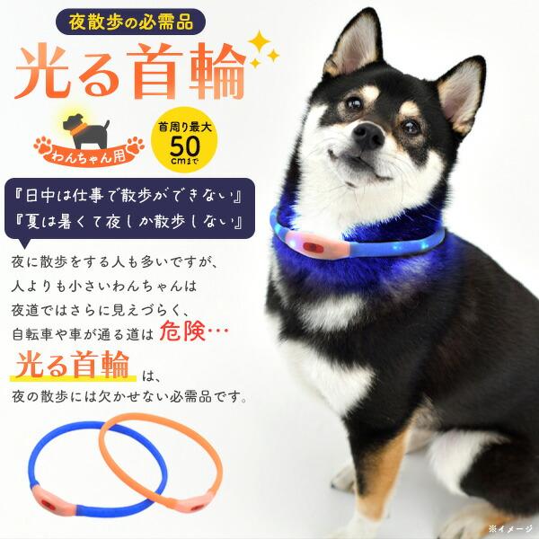 USB充電式 犬用 光る首輪 50cm わんちゃん ペット やわらかい シリコン