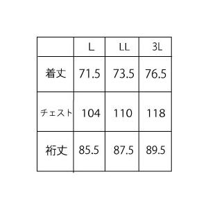 フィラゴルフ クレイジーホットインナーシャツ 大きいサイズ有 メンズ 782981 長袖 UVカット 保温 FILA GOLF ゴルフウエア インナー｜golf-line｜13