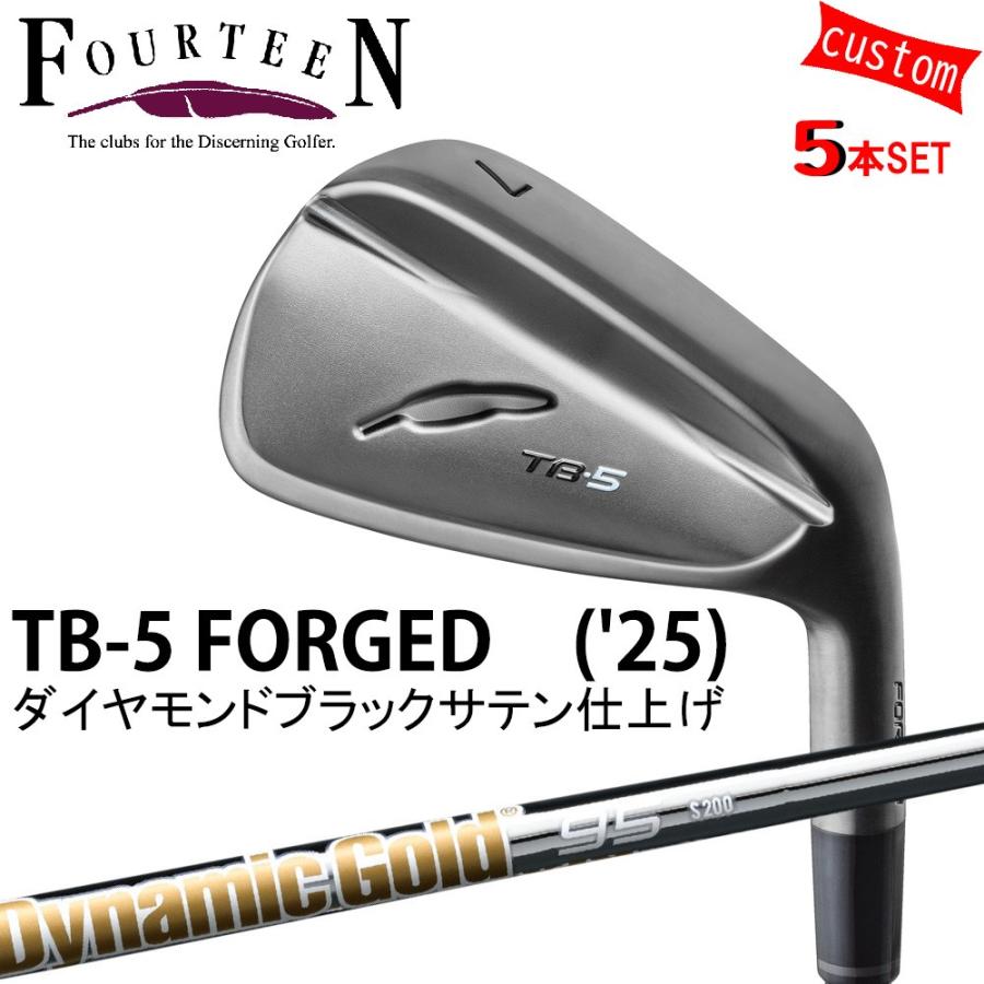 ゴルフ フォーティーン TB-5 フォージドアイアンセット ダイヤモンドブラックサテン仕上げ FOURTEEN GOLF カスタム DG120 ダイナミックゴールド120