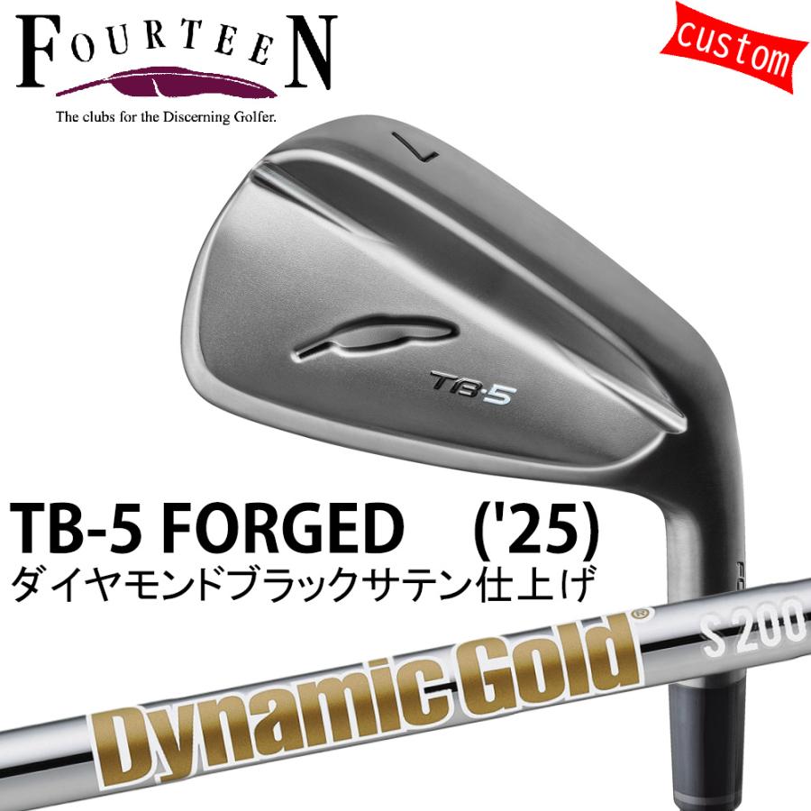 ゴルフ フォーティーン TB-5 フォージドアイアン ダイヤモンドブラックサテン仕上げ FOURTEEN GOLF カスタム Dynamic Gold HT